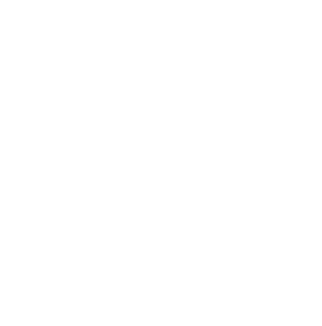 NHI Logo White